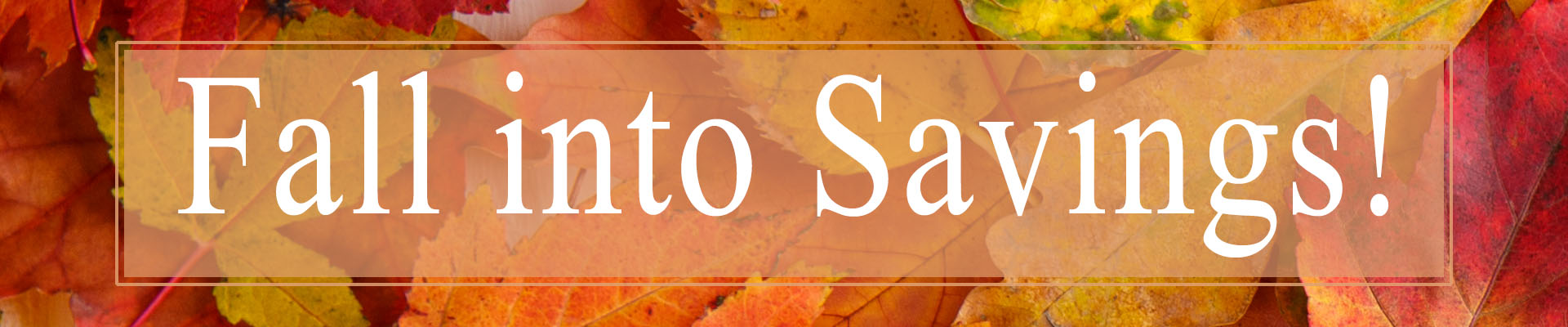 TACS Fall Discount Offer Banner TACS Fall Discount Offer Banner